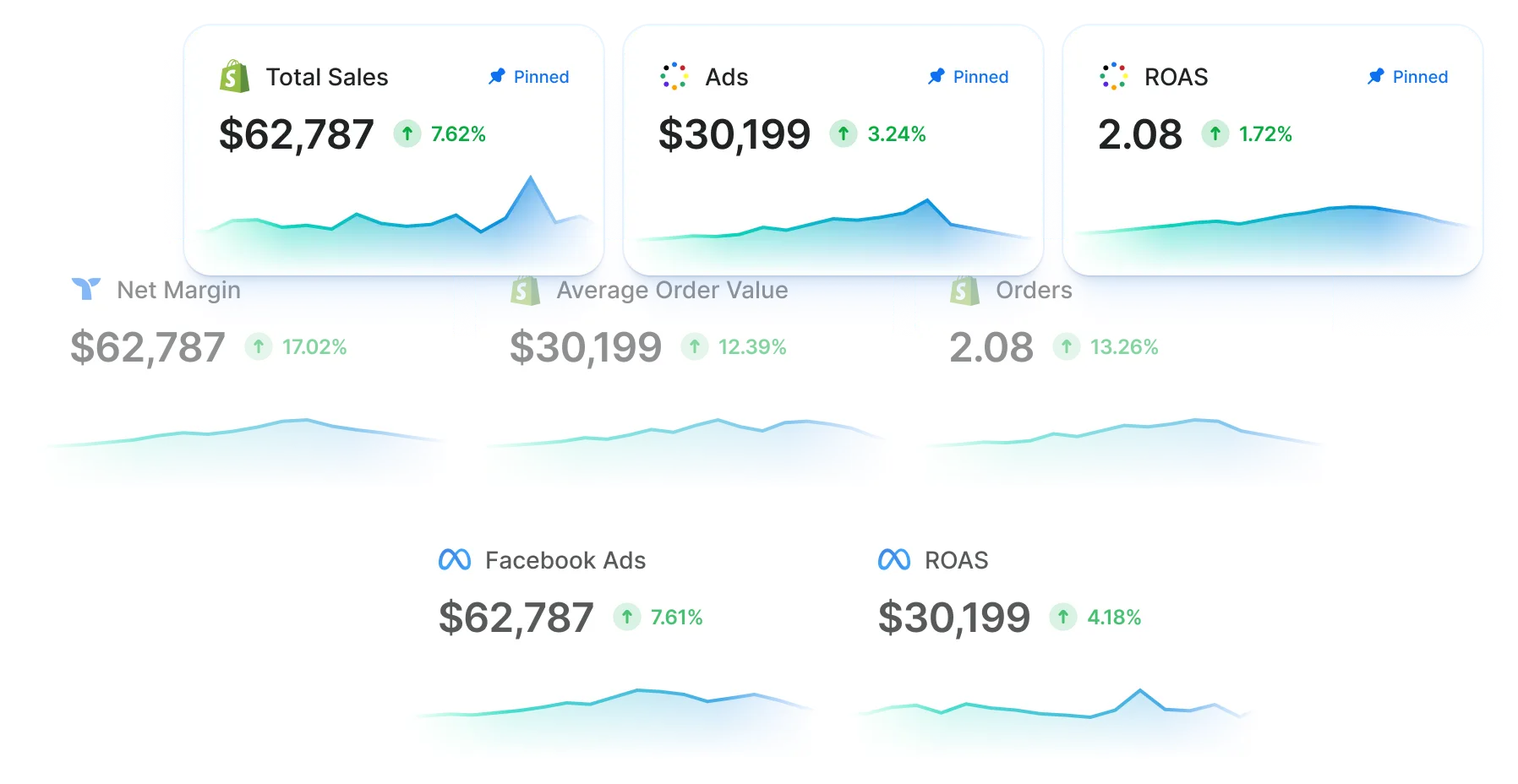 Triple Whale product screenshot