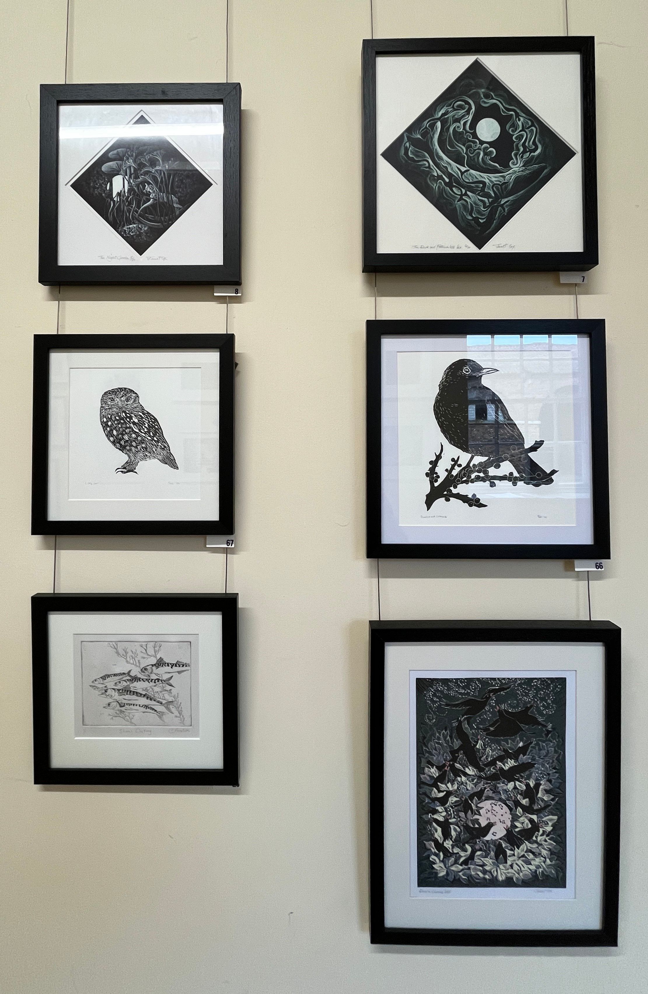 Hull Print Collective 2025 Exhibition - nature prints