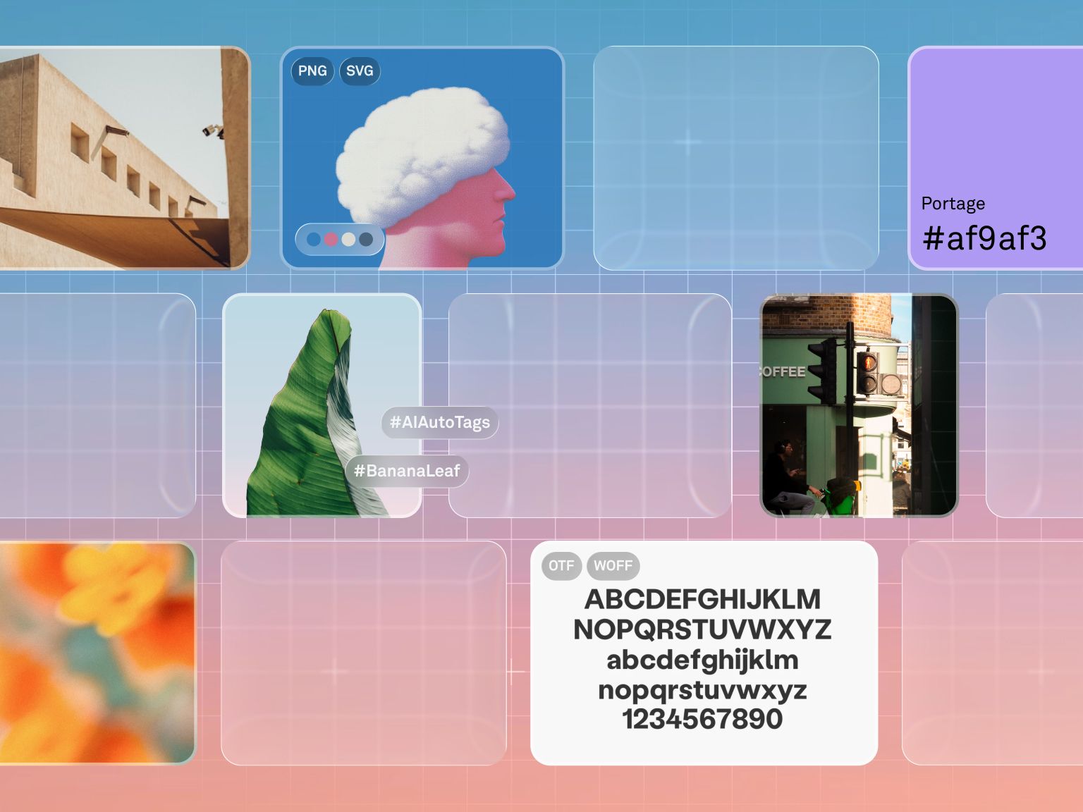 Product Illustration