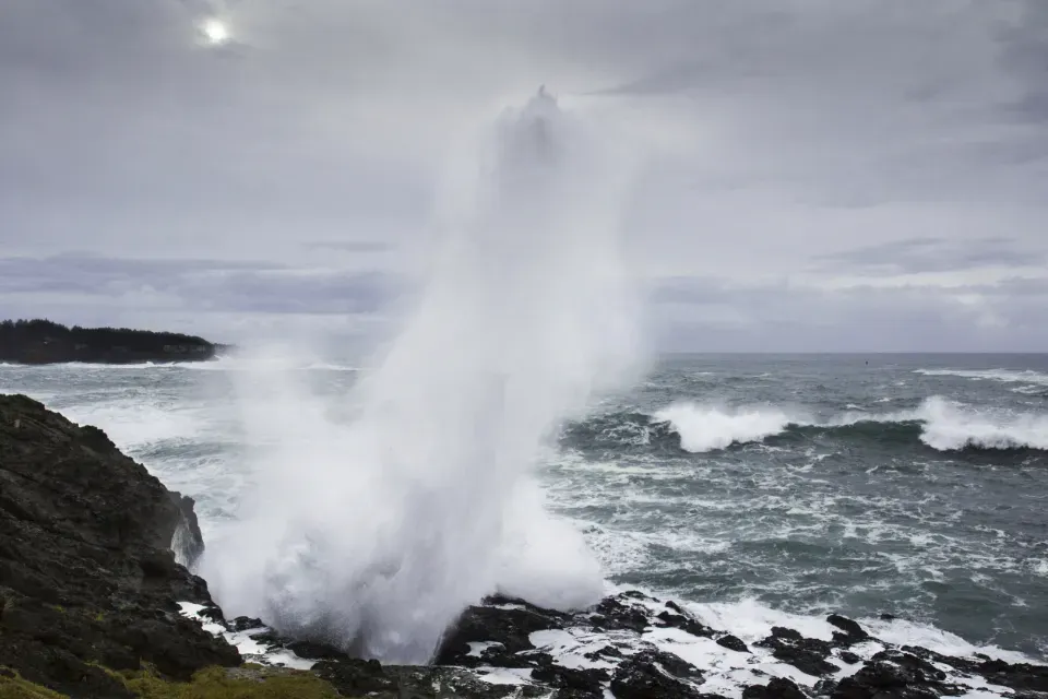 Blowhole
