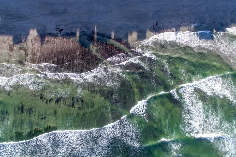 Green Coast