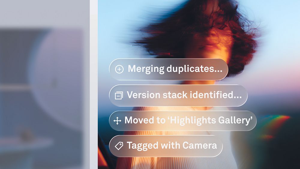 Media & Entertainment