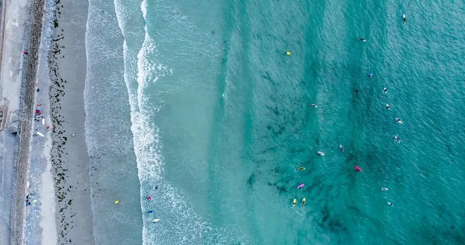 Swimmers in Teal