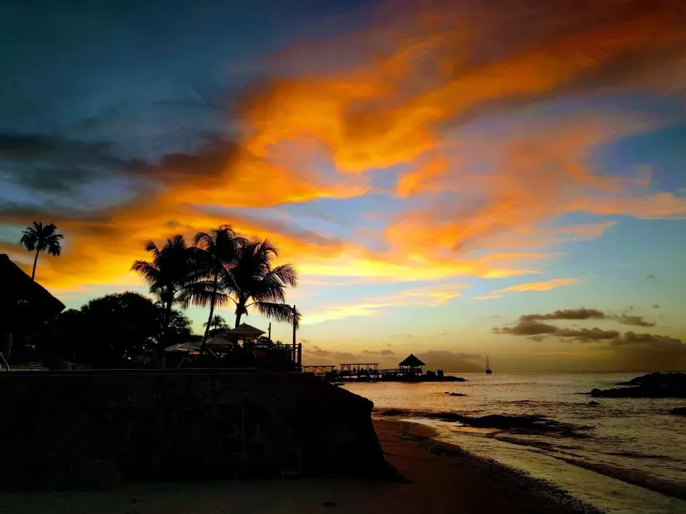 Palms on Fire