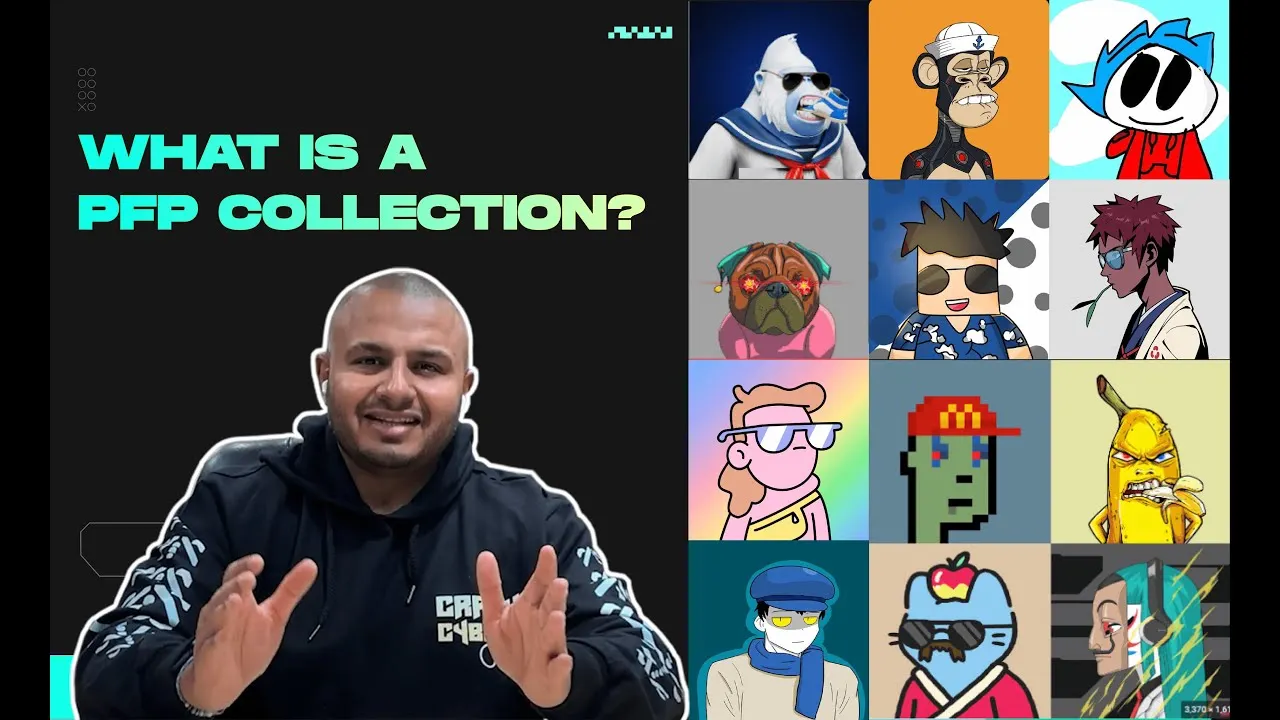 What is a PFP NFT collection?